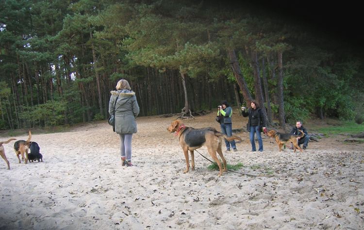 A kto tam robi siku na plaży???